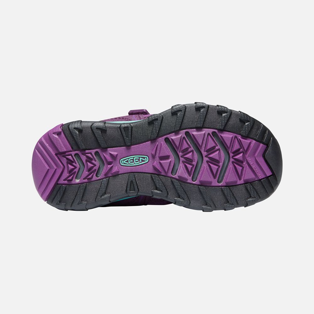 Keen Spor Ayakkabı Çocuk Mor - Terradora Ii Sport Vent Shoes - Türkiye CBMO71409